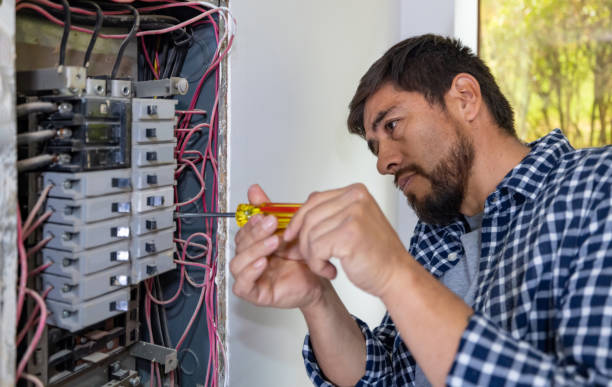 Best Electric Panel Repair  in Second Mesa, AZ